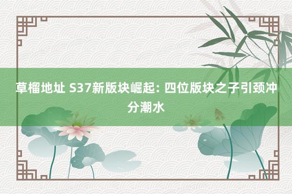 草榴地址 S37新版块崛起: 四位版块之子引颈冲分潮水