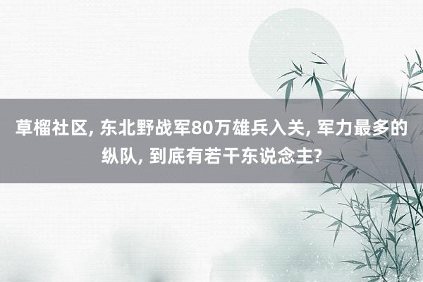 草榴社区， 东北野战军80万雄兵入关， 军力最多的纵队， 到底有若干东说念主?