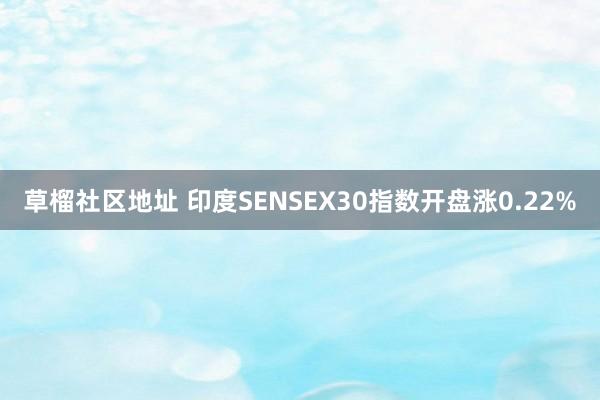 草榴社区地址 印度SENSEX30指数开盘涨0.22%