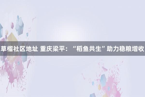 草榴社区地址 重庆梁平：“稻鱼共生”助力稳粮增收