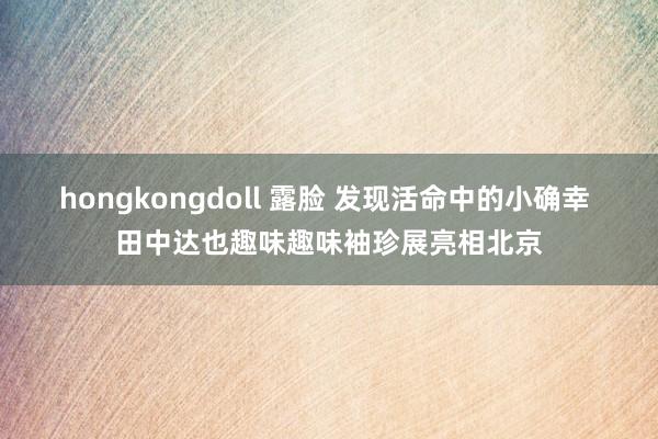 hongkongdoll 露脸 发现活命中的小确幸 田中达也趣味趣味袖珍展亮相北京