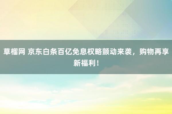 草榴网 京东白条百亿免息权略颤动来袭，购物再享新福利！