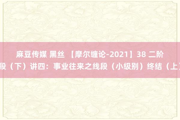 麻豆传媒 黑丝 【摩尔缠论-2021】38 二阶段（下）讲四：事业往来之线段（小级别）终结（上）