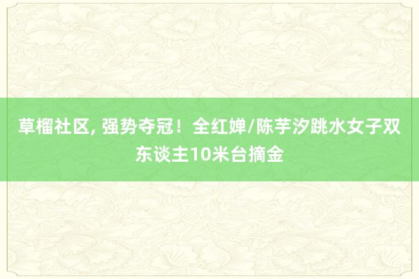 草榴社区， 强势夺冠！全红婵/陈芋汐跳水女子双东谈主10米台摘金