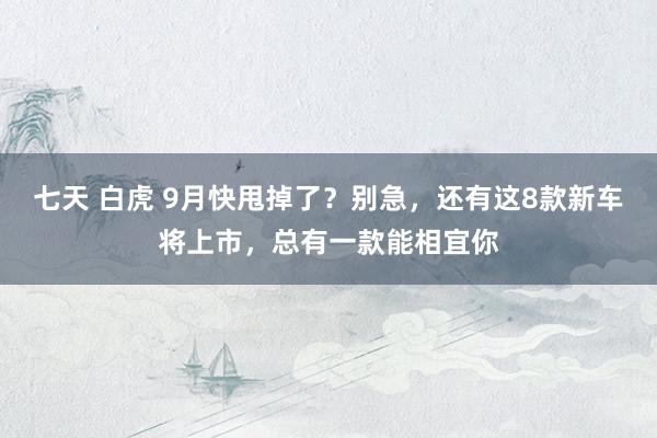 七天 白虎 9月快甩掉了？别急，还有这8款新车将上市，总有一款能相宜你