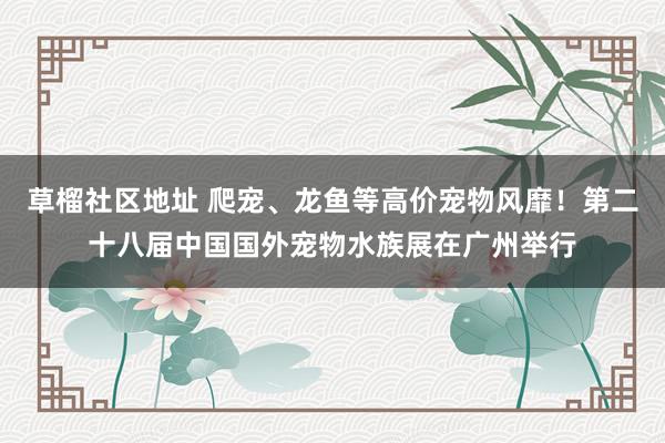 草榴社区地址 爬宠、龙鱼等高价宠物风靡！第二十八届中国国外宠物水族展在广州举行