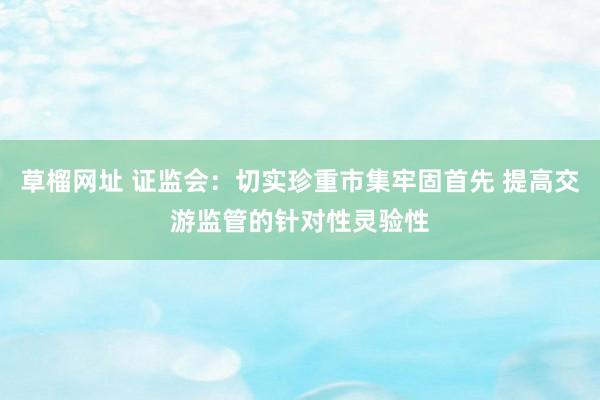 草榴网址 证监会：切实珍重市集牢固首先 提高交游监管的针对性灵验性