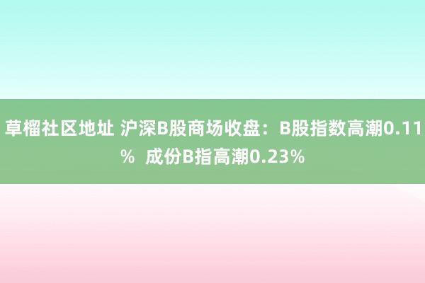 草榴社区地址 沪深B股商场收盘：B股指数高潮0.11%  成份B指高潮0.23%