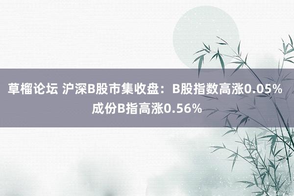 草榴论坛 沪深B股市集收盘：B股指数高涨0.05% 成份B指高涨0.56%