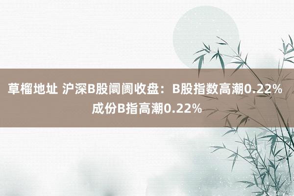 草榴地址 沪深B股阛阓收盘：B股指数高潮0.22% 成份B指高潮0.22%