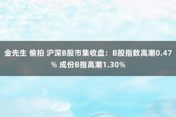 金先生 偷拍 沪深B股市集收盘：B股指数高潮0.47% 成份B指高潮1.30%