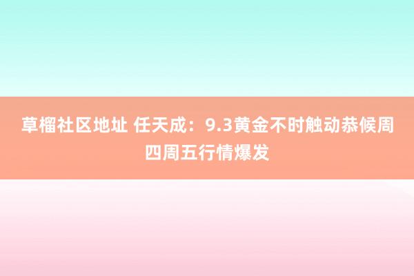 草榴社区地址 任天成：9.3黄金不时触动恭候周四周五行情爆发