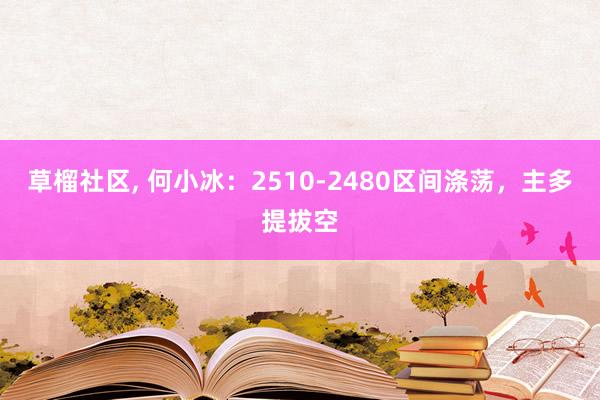 草榴社区， 何小冰：2510-2480区间涤荡，主多提拔空