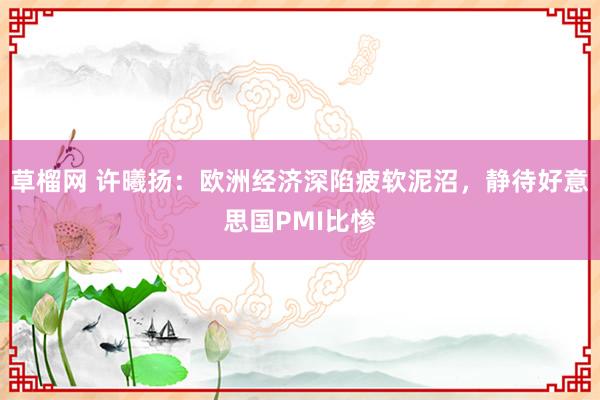 草榴网 许曦扬：欧洲经济深陷疲软泥沼，静待好意思国PMI比惨