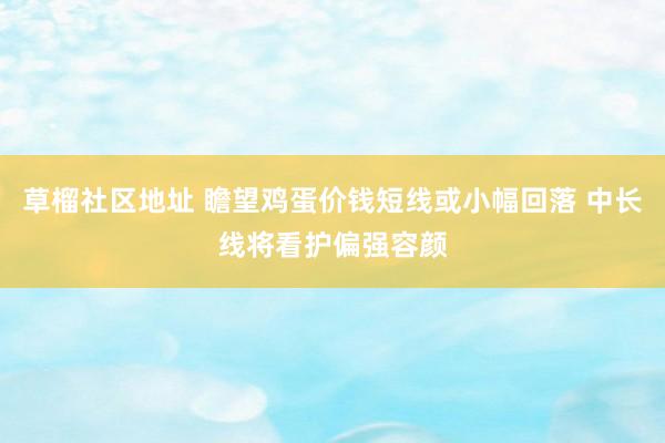 草榴社区地址 瞻望鸡蛋价钱短线或小幅回落 中长线将看护偏强容颜