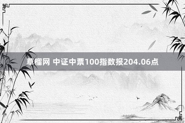 草榴网 中证中票100指数报204.06点