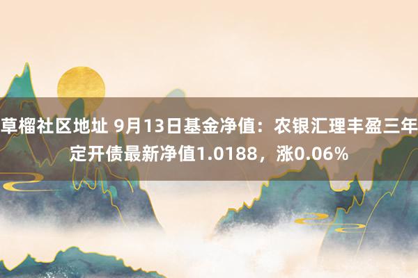 草榴社区地址 9月13日基金净值：农银汇理丰盈三年定开债最新净值1.0188，涨0.06%