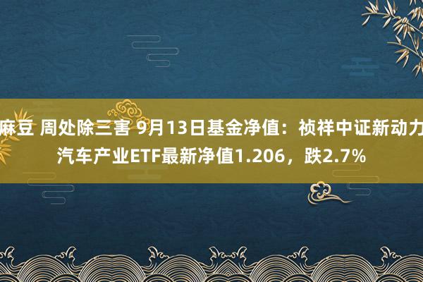 麻豆 周处除三害 9月13日基金净值：祯祥中证新动力汽车产业ETF最新净值1.206，跌2.7%