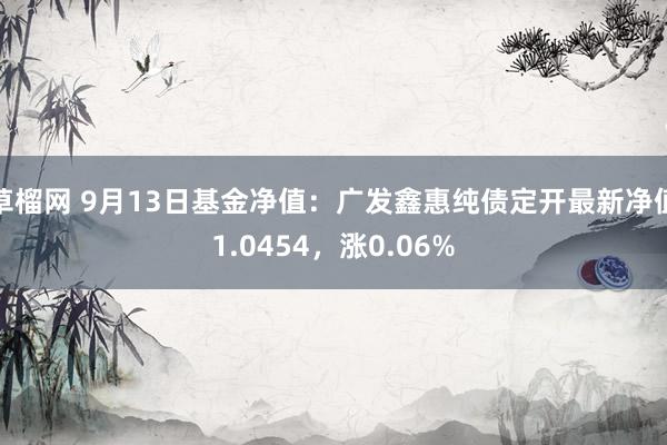 草榴网 9月13日基金净值：广发鑫惠纯债定开最新净值1.0454，涨0.06%