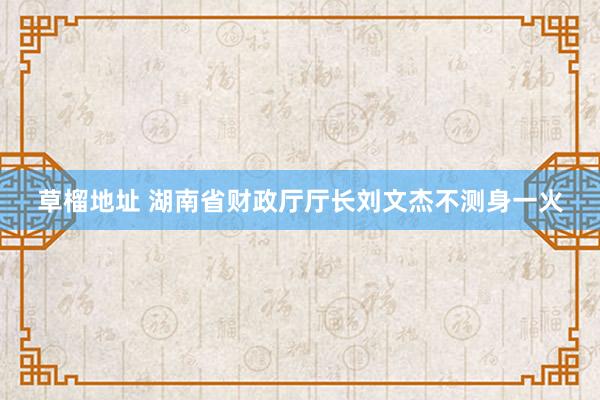 草榴地址 湖南省财政厅厅长刘文杰不测身一火