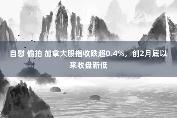 自慰 偷拍 加拿大股指收跌超0.4%，创2月底以来收盘新低