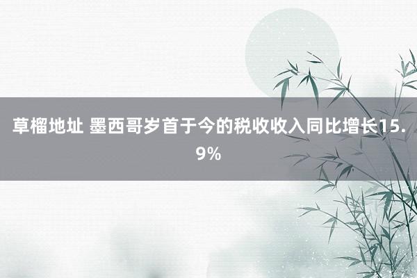 草榴地址 墨西哥岁首于今的税收收入同比增长15.9%