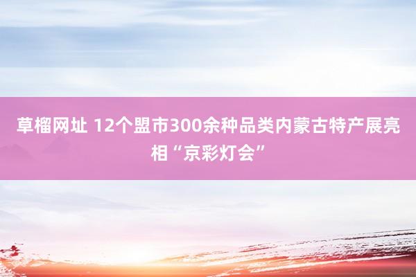 草榴网址 12个盟市300余种品类内蒙古特产展亮相“京彩灯会”