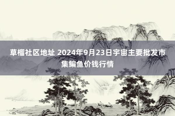 草榴社区地址 2024年9月23日宇宙主要批发市集鳊鱼价钱行情