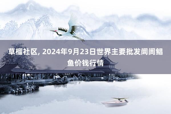 草榴社区， 2024年9月23日世界主要批发阛阓鲳鱼价钱行情