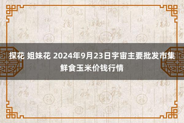 探花 姐妹花 2024年9月23日宇宙主要批发市集鲜食玉米价钱行情