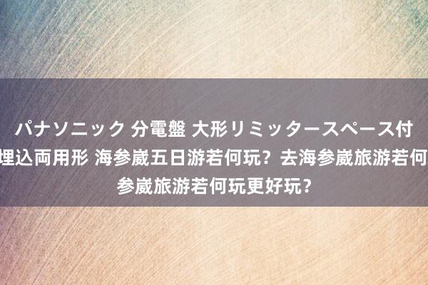 パナソニック 分電盤 大形リミッタースペース付 露出・半埋込両用形 海参崴五日游若何玩？去海参崴旅游若何玩更好玩？