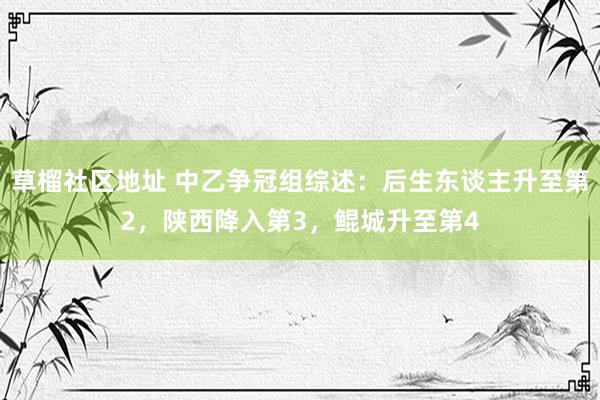 草榴社区地址 中乙争冠组综述：后生东谈主升至第2，陕西降入第3，鲲城升至第4