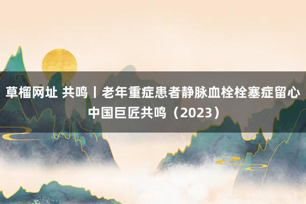 草榴网址 共鸣丨老年重症患者静脉血栓栓塞症留心中国巨匠共鸣（2023）