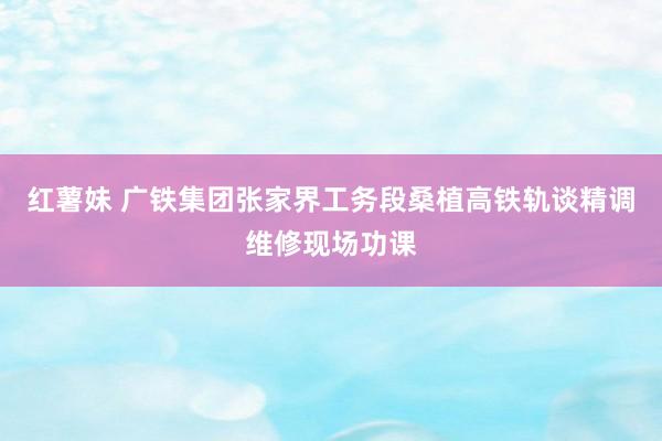 红薯妹 广铁集团张家界工务段桑植高铁轨谈精调维修现场功课