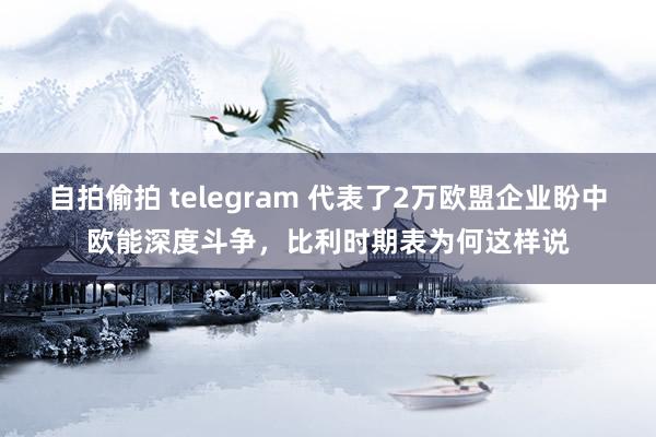 自拍偷拍 telegram 代表了2万欧盟企业盼中欧能深度斗争，比利时期表为何这样说