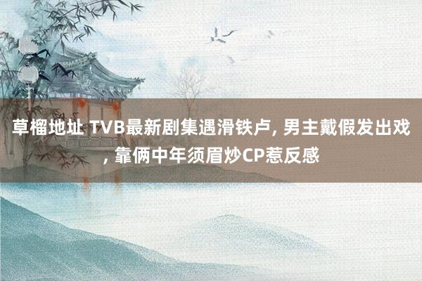 草榴地址 TVB最新剧集遇滑铁卢， 男主戴假发出戏， 靠俩中年须眉炒CP惹反感