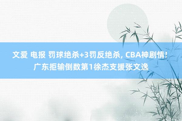 文爱 电报 罚球绝杀+3罚反绝杀， CBA神剧情! 广东拒输倒数第1徐杰支援张文逸