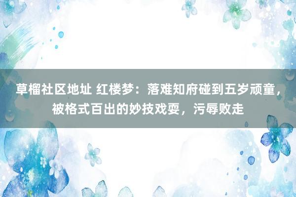 草榴社区地址 红楼梦：落难知府碰到五岁顽童，被格式百出的妙技戏耍，污辱败走