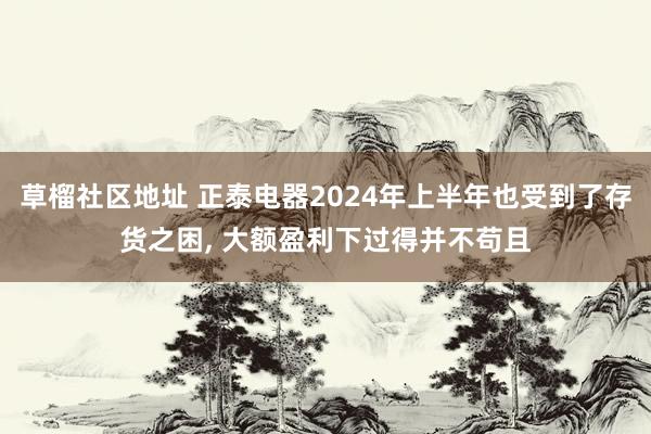 草榴社区地址 正泰电器2024年上半年也受到了存货之困， 大额盈利下过得并不苟且