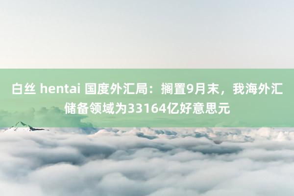 白丝 hentai 国度外汇局：搁置9月末，我海外汇储备领域为33164亿好意思元