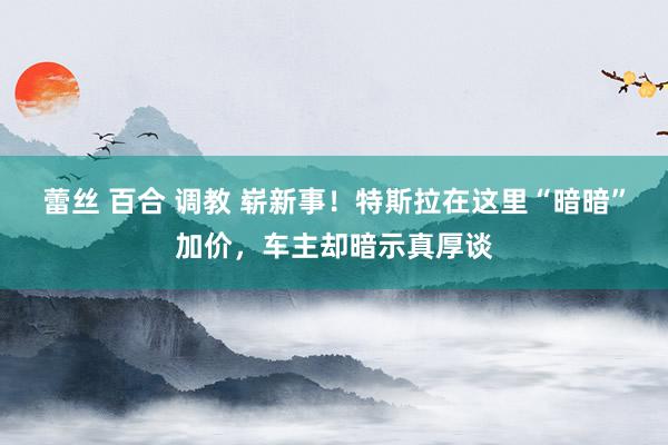 蕾丝 百合 调教 崭新事！特斯拉在这里“暗暗”加价，车主却暗示真厚谈