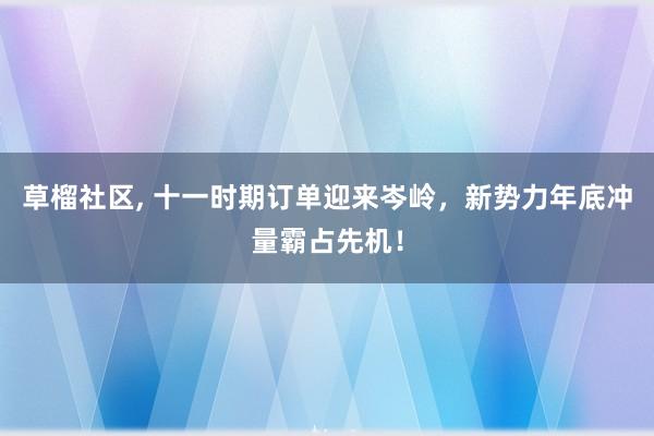 草榴社区， 十一时期订单迎来岑岭，新势力年底冲量霸占先机！