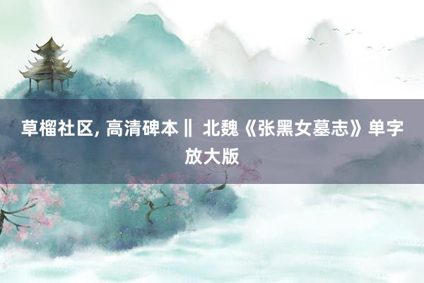 草榴社区， 高清碑本‖ 北魏《张黑女墓志》单字放大版