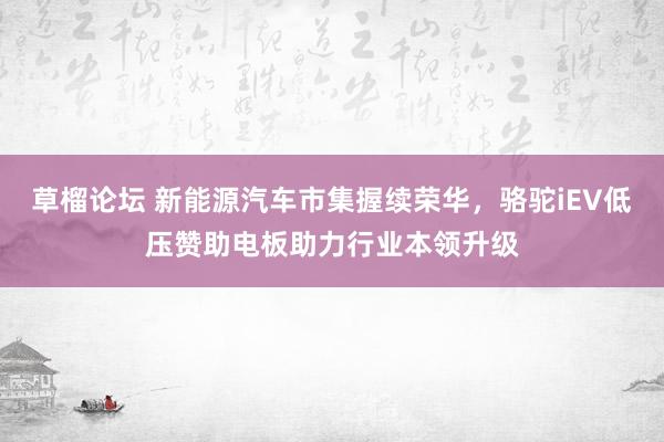 草榴论坛 新能源汽车市集握续荣华，骆驼iEV低压赞助电板助力行业本领升级