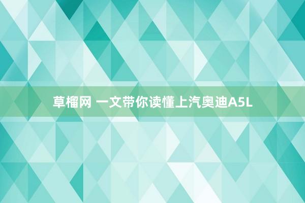 草榴网 一文带你读懂上汽奥迪A5L