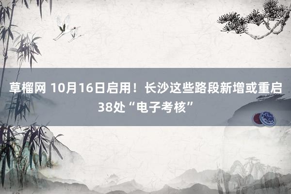 草榴网 10月16日启用！长沙这些路段新增或重启38处“电子考核”