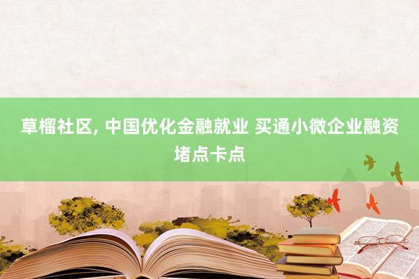 草榴社区， 中国优化金融就业 买通小微企业融资堵点卡点