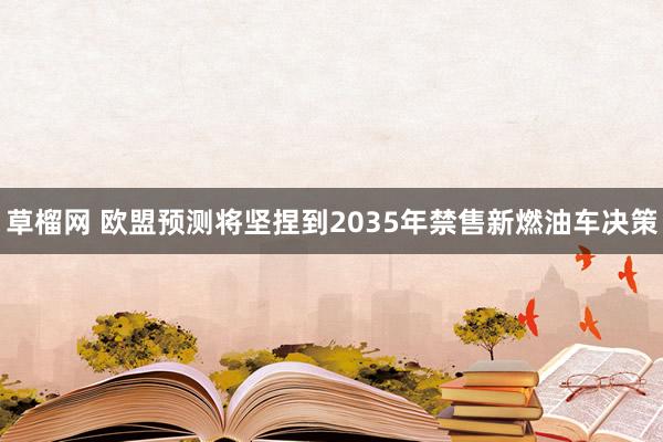 草榴网 欧盟预测将坚捏到2035年禁售新燃油车决策