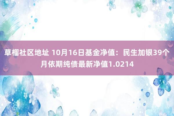 草榴社区地址 10月16日基金净值：民生加银39个月依期纯债最新净值1.0214