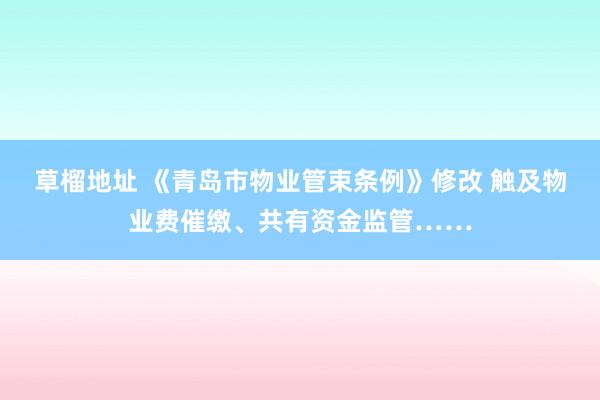 草榴地址 《青岛市物业管束条例》修改 触及物业费催缴、共有资金监管……